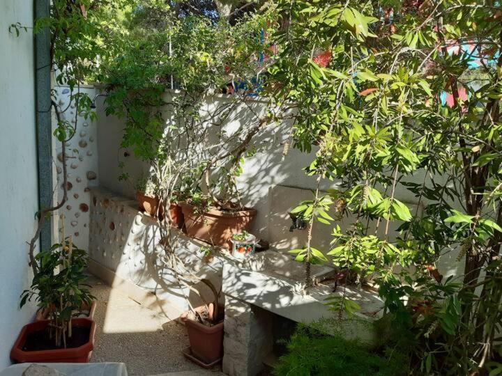 Apartment Biljana Бол Екстериор снимка